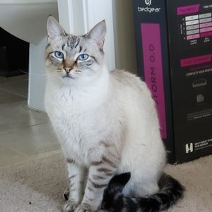 Meet your Posher, Patty